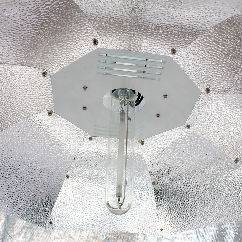 Sun King Réflecteur Parabolique - Medium 80 cm 