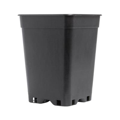 Eco Square Pot 10cm - 1L