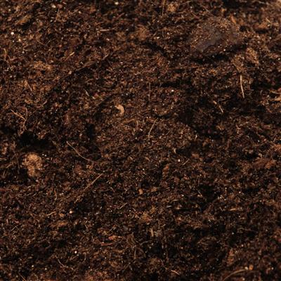 CANNA Bio Terra Plus Soil Mix - Bolsa de 50L