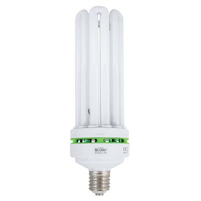 Envirogro ampoule CFL 130 w Croissance  - 6400k