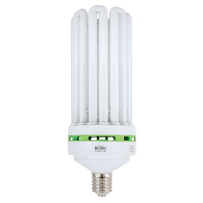 Envirogro ampoule CFL 200 w Croissance  - 6400k
