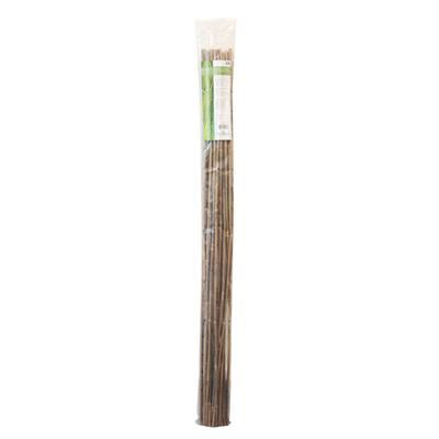 Tuteurs bambou (150cm) - pack de 25