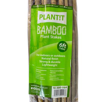 6' Bamboo Stakes (180cm) - Pack of 25