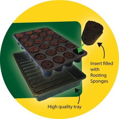 ROOT!T Natural Rooting Sponge 24 Cell Filled Trays