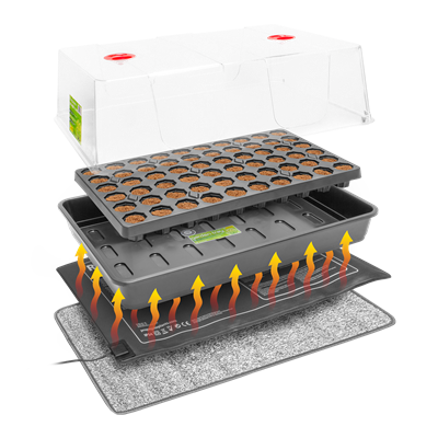 ROOT!T Dry Peat Free 60 Cell Heated Propagator Kit