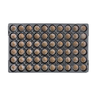 Jiffy-7 Plugs - 60 Cell Filled Trays - Box of 28
