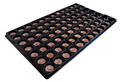 Jiffy 84 Cell Trays - Pack of 20