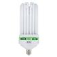 300W EnviroGro Warm CFL Lamp - 2700K