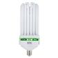 Envirogro ampoule CFL 300 w Croissance  - 6400k