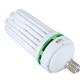 Envirogro ampoule CFL 300 w Croissance  - 6400k